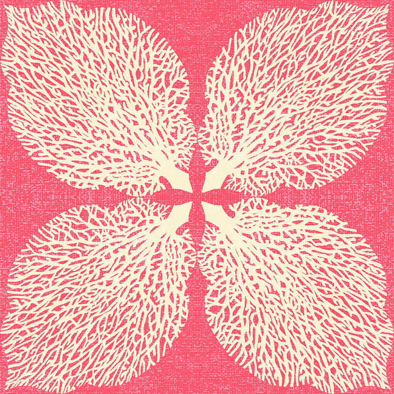 Coral in the shape of a leaf, arranged as a clover in white and pink.